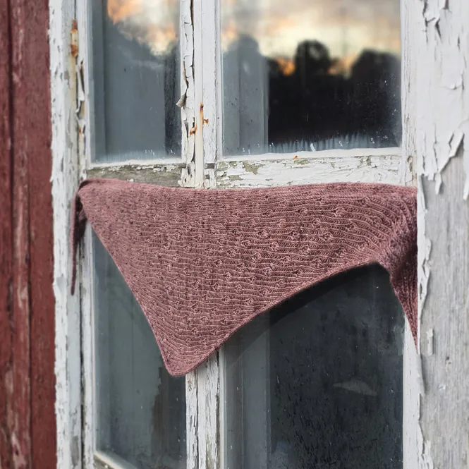 Hovedbilde Polarlys Bandana
